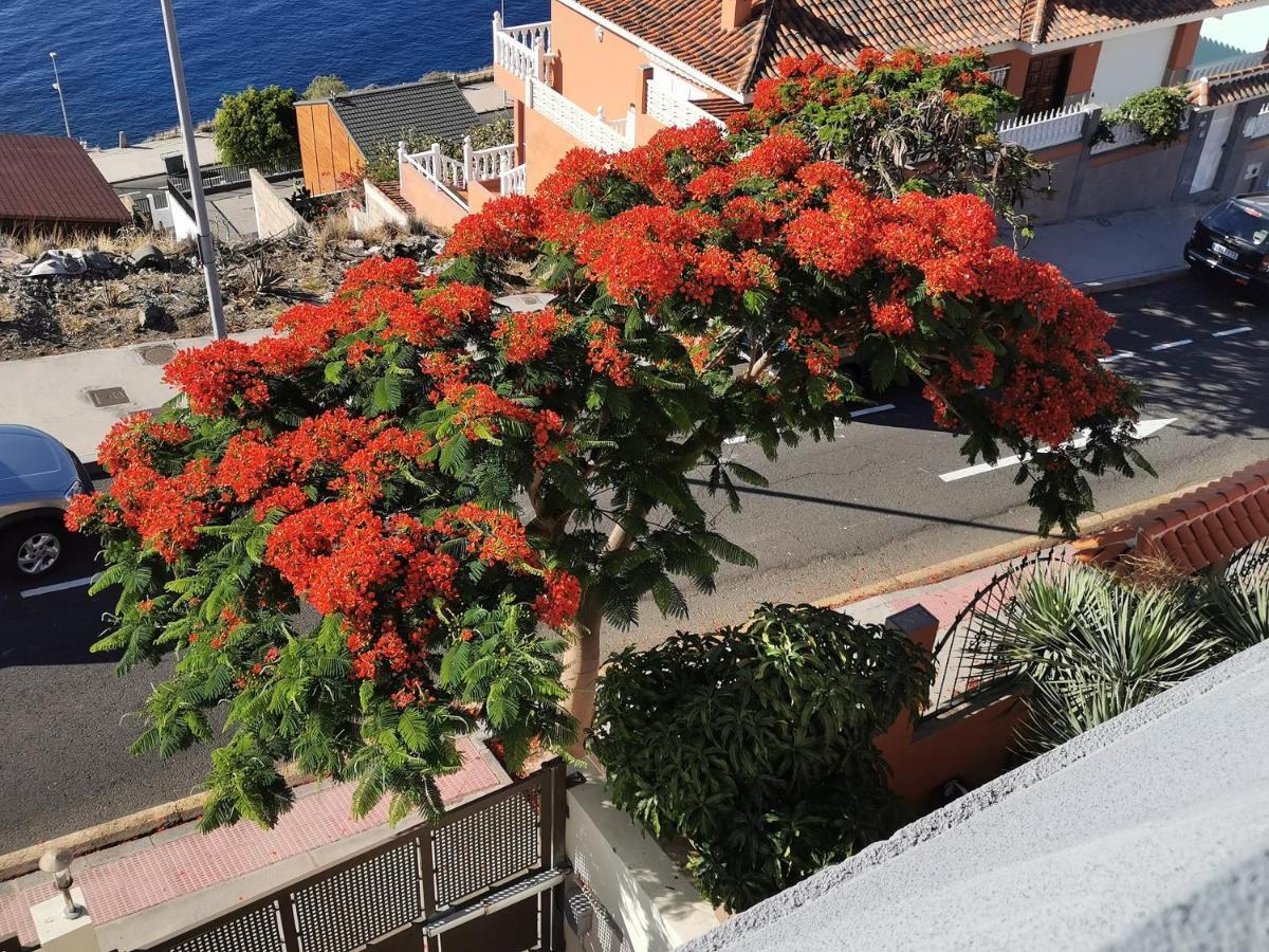Balcon De Costanera Villa Santa Cruz de Tenerife Exterior photo